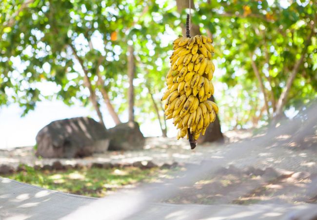 Villa in Poutoru - TAHAA - Private Beach & Snorkeling Villa Villa in Poutoru - TAHAA - Private Beach & Snorkeling Villa