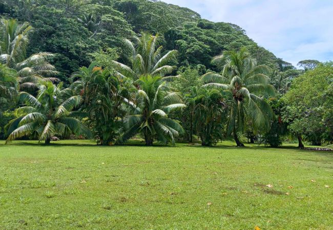 Villa in Poutoru - TAHAA - Private Beach & Snorkeling Villa Villa in Poutoru - TAHAA - Private Beach & Snorkeling Villa