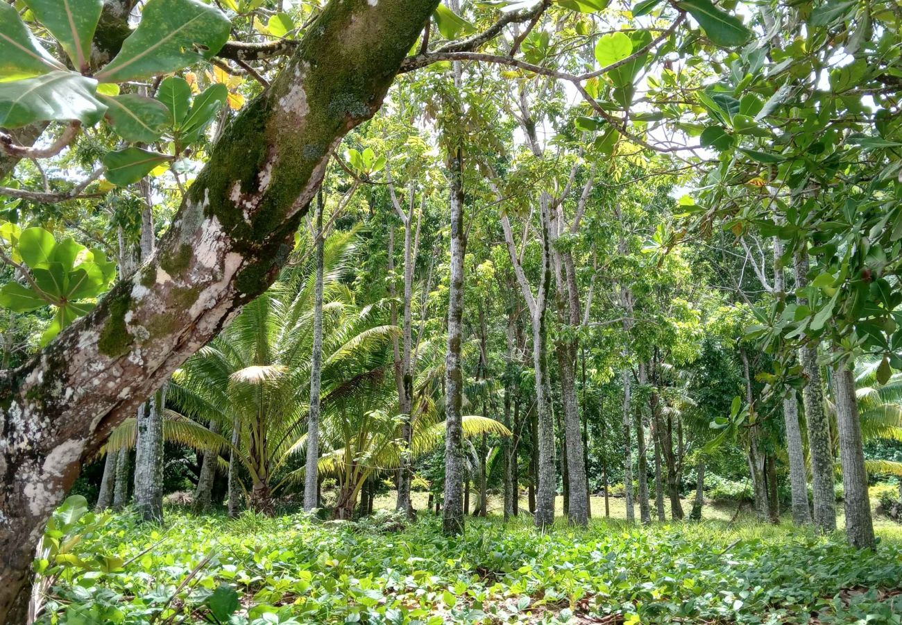 Villa in Poutoru - TAHAA - Private Beach & Snorkeling Villa Villa in Poutoru - TAHAA - Private Beach & Snorkeling Villa