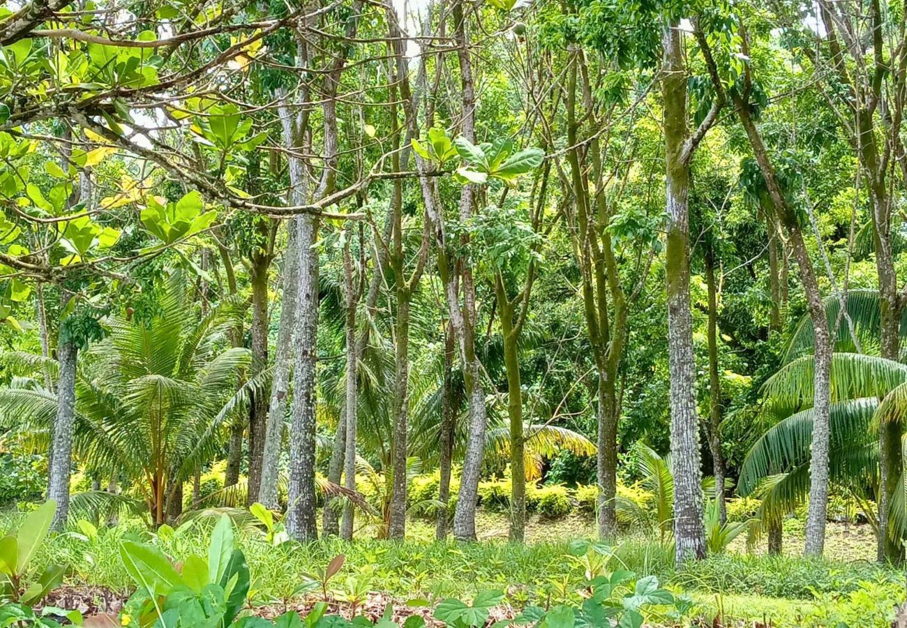 Villa in Poutoru - TAHAA - Private Beach & Snorkeling Villa Villa in Poutoru - TAHAA - Private Beach & Snorkeling Villa