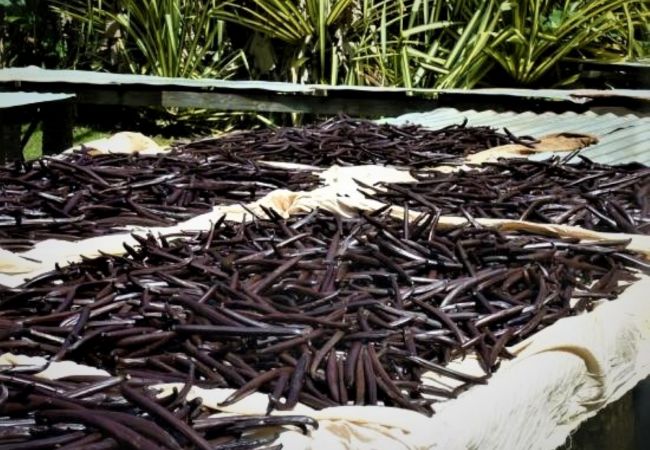 Studio in Tiva - TAHAA - Bungalow Moana Beach 1 Studio in Tiva - TAHAA - Bungalow Moana Beach 1