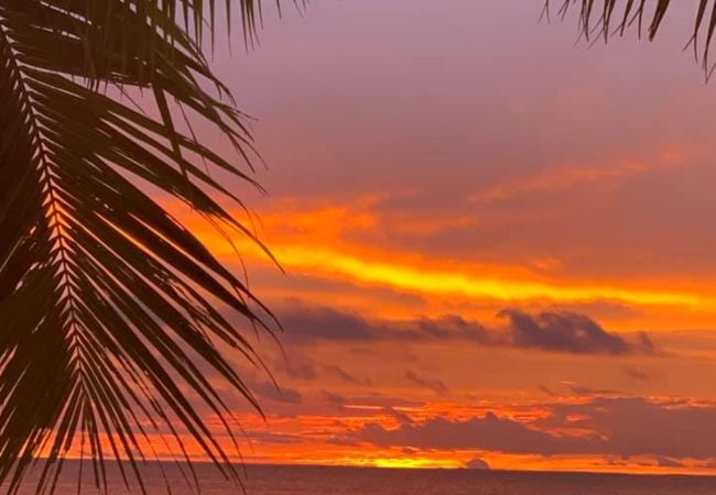 Studio in Tiva - TAHAA - Bungalow Moana Beach 1 Studio in Tiva - TAHAA - Bungalow Moana Beach 1