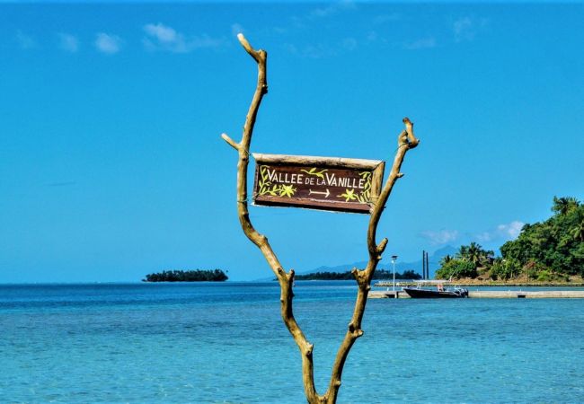 Studio in Tiva - TAHAA - Bungalow Moana Beach 1 Studio in Tiva - TAHAA - Bungalow Moana Beach 1