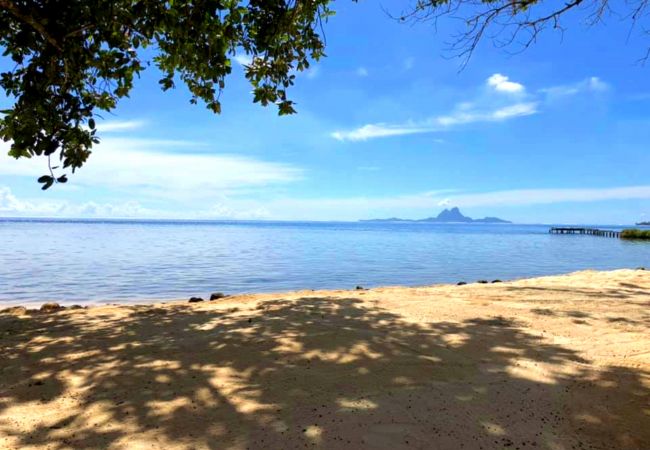 Studio in Tiva - TAHAA - Bungalow Moana Beach 1 Studio in Tiva - TAHAA - Bungalow Moana Beach 1