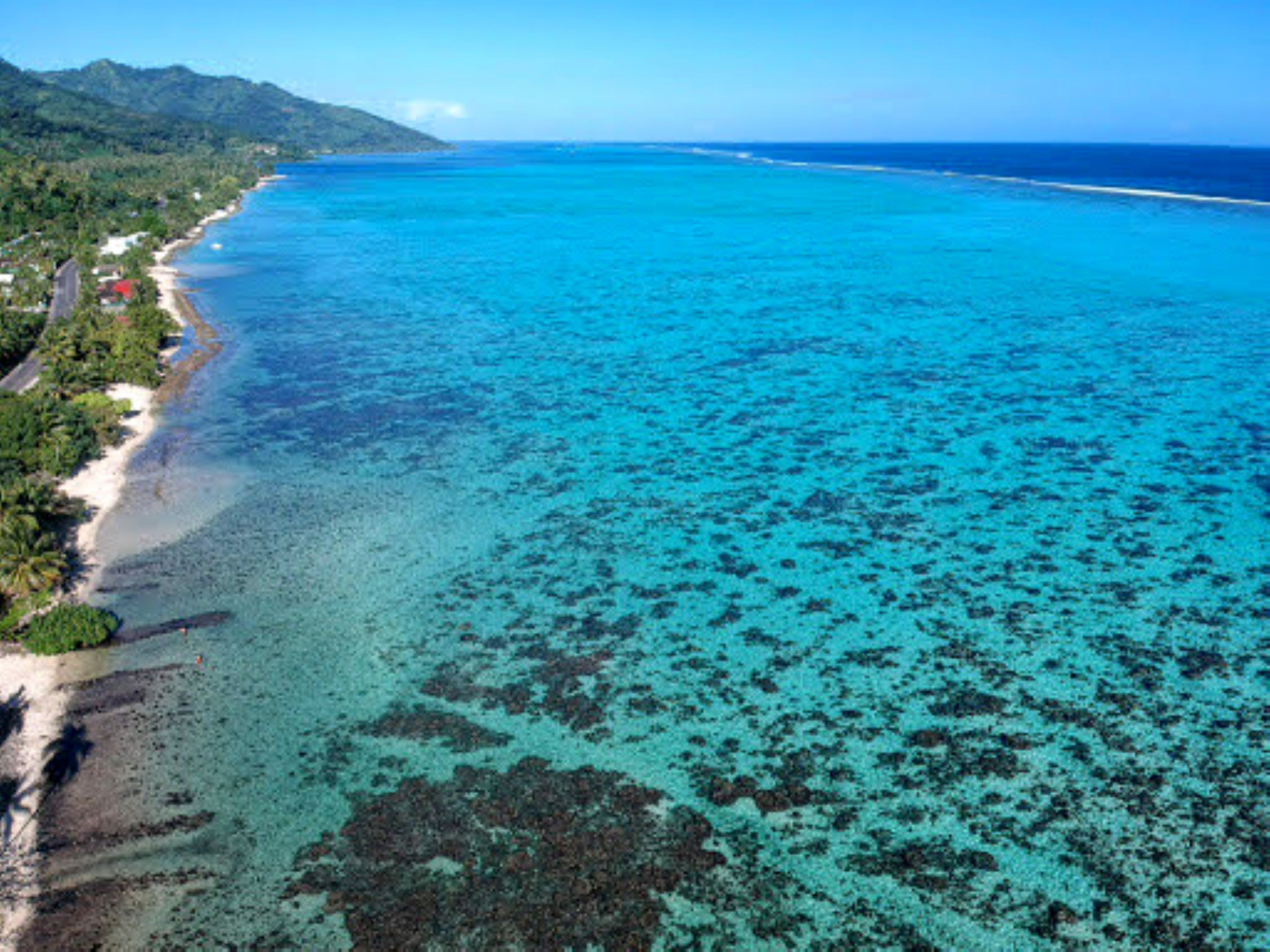 MOOREA - Fare Taina Iti