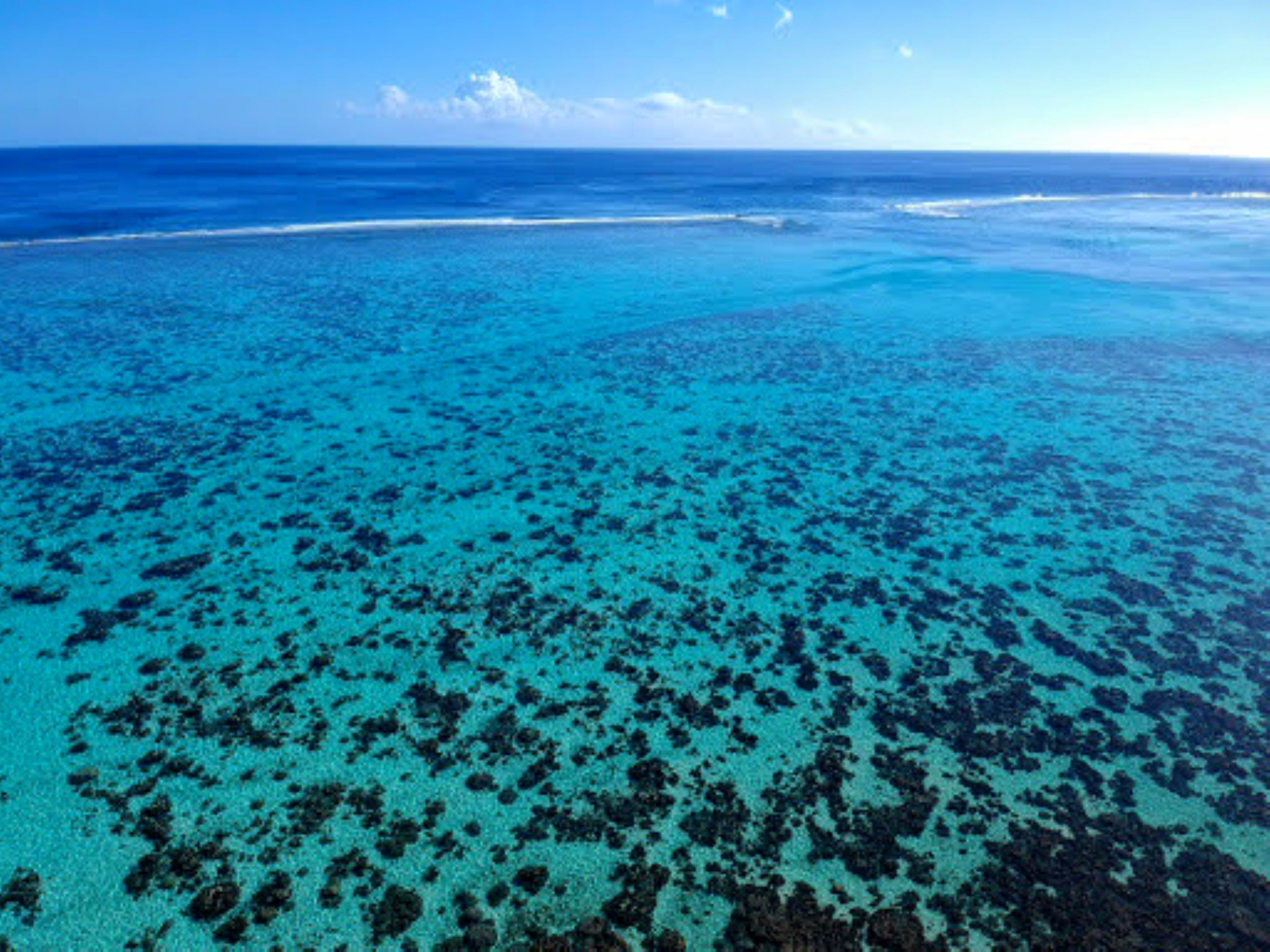 MOOREA - Fare Taina Nui