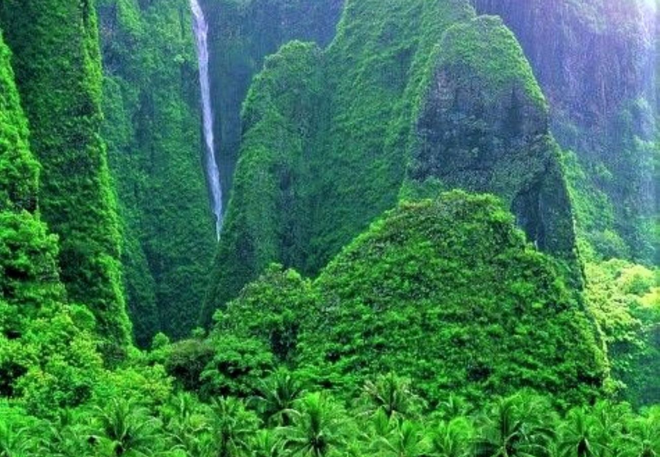 Studio in Taiohae - NUKU-HIVA - Taiohae Room & Free Breakfast n°2  Studio in Taiohae - NUKU-HIVA - Taiohae Room & Free Breakfast n°2