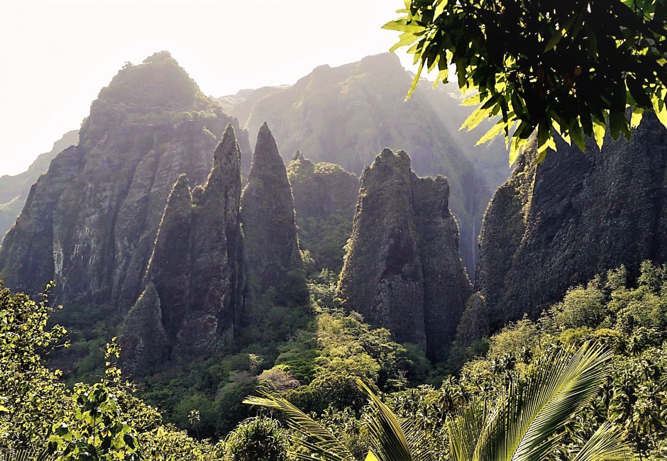 Studio in Taiohae - NUKU-HIVA - Taiohae Room & Free Breakfast n°2  Studio in Taiohae - NUKU-HIVA - Taiohae Room & Free Breakfast n°2