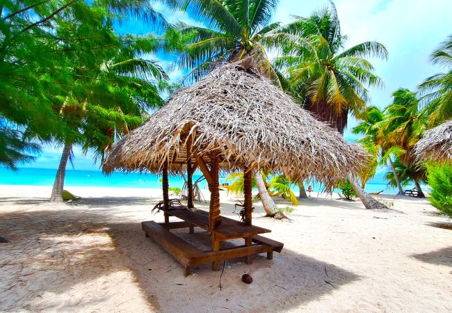 Rent by room in Tikehau - TIKEHAU - Bungalow Pacific Beach Rent by room in Tikehau - TIKEHAU - Bungalow Pacific Beach