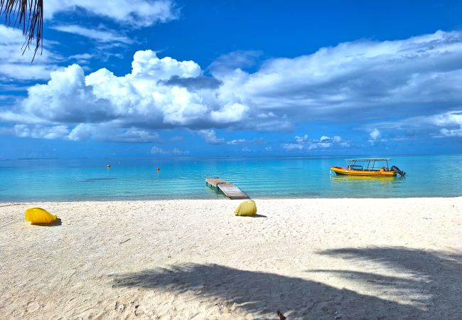Rent by room in Tikehau - TIKEHAU - Bungalow Pacific Beach Rent by room in Tikehau - TIKEHAU - Bungalow Pacific Beach
