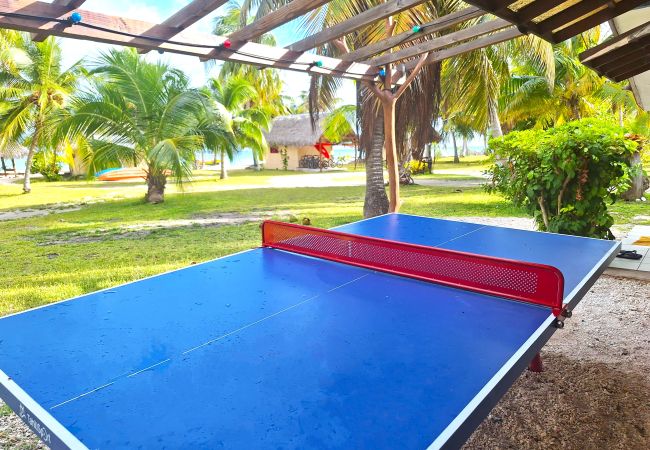 Rent by room in Tikehau - TIKEHAU - Bungalow Pacific Beach Rent by room in Tikehau - TIKEHAU - Bungalow Pacific Beach