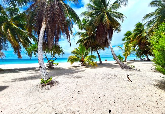 Rent by room in Tikehau - TIKEHAU - Bungalow Pacific Beach Rent by room in Tikehau - TIKEHAU - Bungalow Pacific Beach