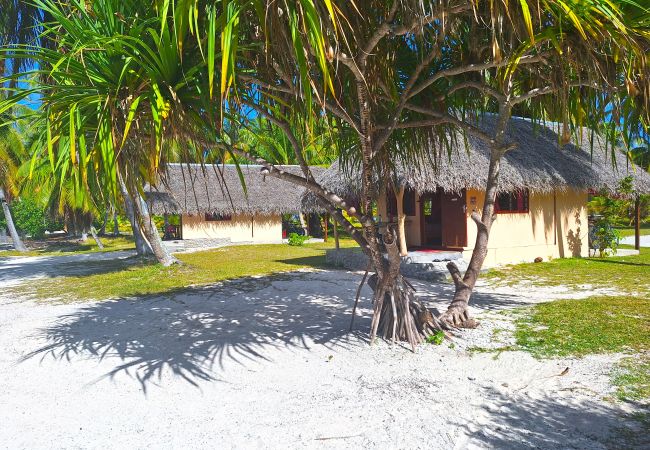 Rent by room in Tikehau - TIKEHAU - Bungalow Pacific Beach Rent by room in Tikehau - TIKEHAU - Bungalow Pacific Beach