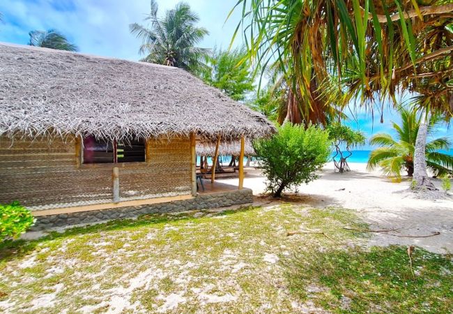 Rent by room in Tikehau - TIKEHAU - Bungalow Pacific Beach Rent by room in Tikehau - TIKEHAU - Bungalow Pacific Beach