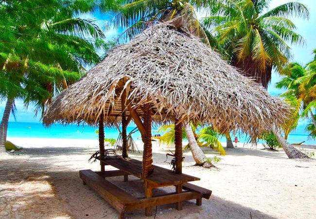 Rent by room in Tikehau - TIKEHAU - Bungalow Pacific Beach Rent by room in Tikehau - TIKEHAU - Bungalow Pacific Beach