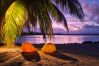 Rent by room in Tikehau - TIKEHAU - Bungalow Pacific Beach Rent by room in Tikehau - TIKEHAU - Bungalow Pacific Beach