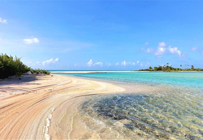Rent by room in Tikehau - TIKEHAU - Bungalow Pacific  Beach Family  Rent by room in Tikehau - TIKEHAU - Bungalow Pacific  Beach Family