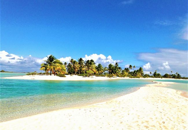 Rent by room in Tikehau - TIKEHAU - Bungalow Pacific  Beach Family  Rent by room in Tikehau - TIKEHAU - Bungalow Pacific  Beach Family