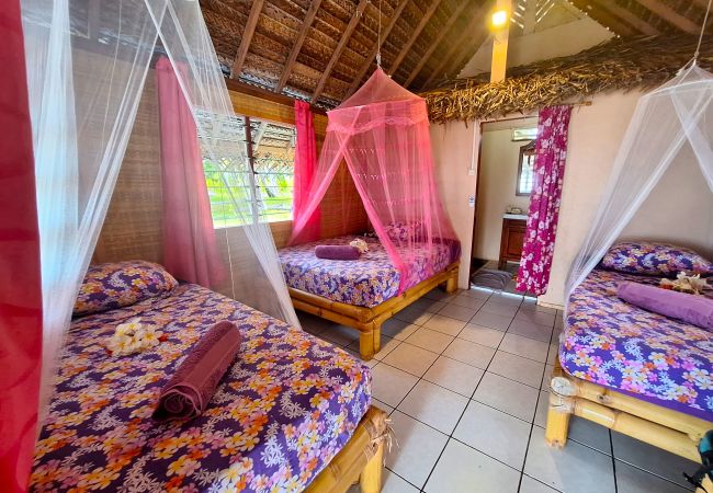 Rent by room in Tikehau - TIKEHAU - Bungalow Pacific  Beach Family  Rent by room in Tikehau - TIKEHAU - Bungalow Pacific  Beach Family