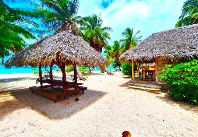 Rent by room in Tikehau - TIKEHAU - Bungalow Pacific  Beach Family  Rent by room in Tikehau - TIKEHAU - Bungalow Pacific  Beach Family