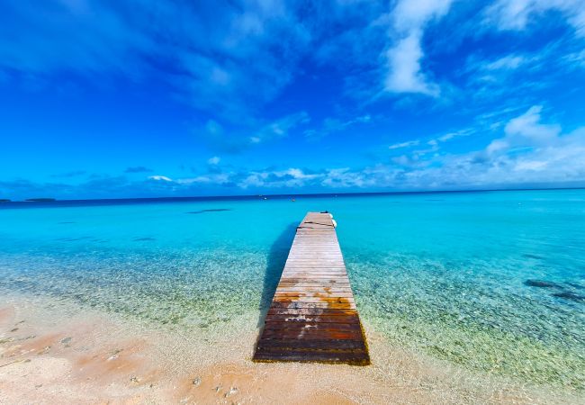 Rent by room in Tikehau - TIKEHAU - Bungalow Pacific  Beach Family  Rent by room in Tikehau - TIKEHAU - Bungalow Pacific  Beach Family