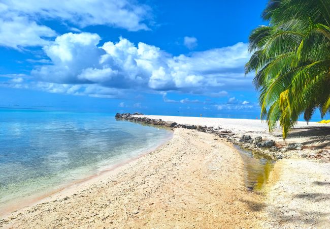 Rent by room in Tikehau - TIKEHAU - Bungalow Pacific  Beach Family  Rent by room in Tikehau - TIKEHAU - Bungalow Pacific  Beach Family