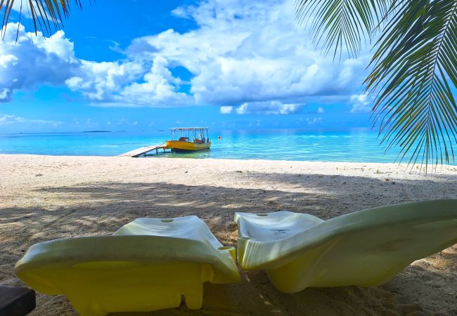 Rent by room in Tikehau - TIKEHAU - Bungalow Pacific  Beach Family  Rent by room in Tikehau - TIKEHAU - Bungalow Pacific  Beach Family