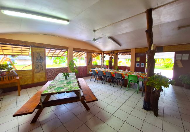 Rent by room in Tikehau - TIKEHAU - Bungalow Pacific  Beach Family  Rent by room in Tikehau - TIKEHAU - Bungalow Pacific  Beach Family