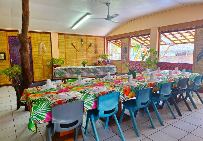 Rent by room in Tikehau - TIKEHAU - Bungalow Pacific  Beach Family  Rent by room in Tikehau - TIKEHAU - Bungalow Pacific  Beach Family
