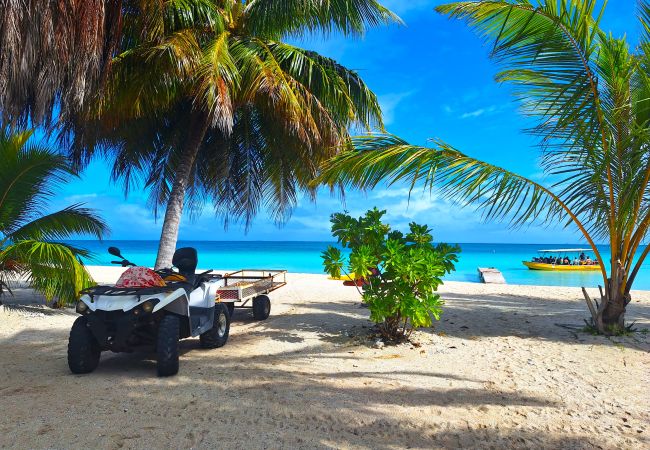 Rent by room in Tikehau - TIKEHAU - Bungalow Pacific  Beach Family  Rent by room in Tikehau - TIKEHAU - Bungalow Pacific  Beach Family