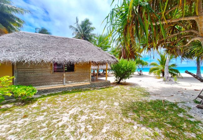 Rent by room in Tikehau - TIKEHAU - Bungalow Pacific  Beach Family  Rent by room in Tikehau - TIKEHAU - Bungalow Pacific  Beach Family