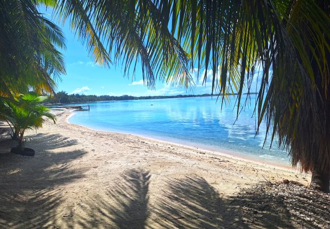 Rent by room in Tikehau - TIKEHAU - Bungalow Pacific  Beach Family  Rent by room in Tikehau - TIKEHAU - Bungalow Pacific  Beach Family