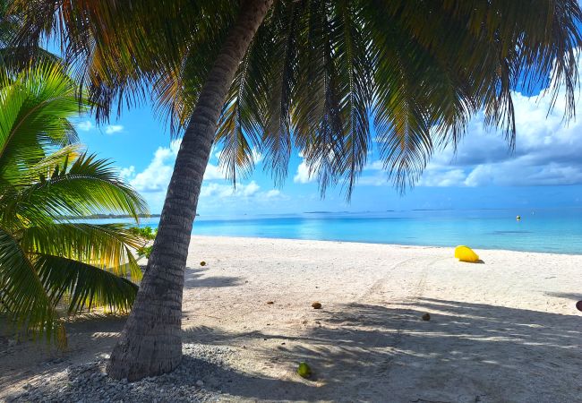 Rent by room in Tikehau - TIKEHAU - Bungalow Pacific  Beach Family  Rent by room in Tikehau - TIKEHAU - Bungalow Pacific  Beach Family