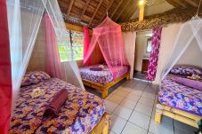 Rent by room in Tikehau - TIKEHAU - Bungalow Pacific  Beach Family 