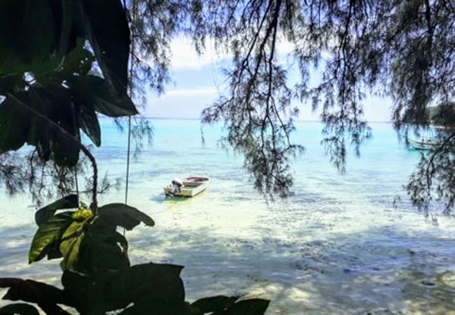 Bungalow in Tiahura - MOOREA - Local Spirit 6 Bungalow in Tiahura - MOOREA - Local Spirit 6