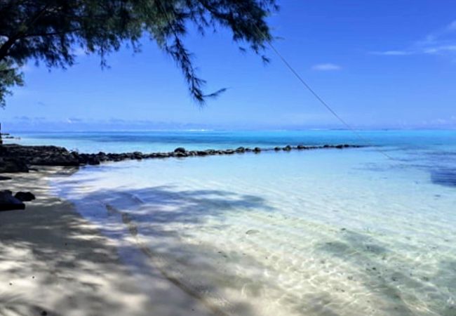 Bungalow/Linked villa in Tiahura - MOOREA - Local Spirit 6