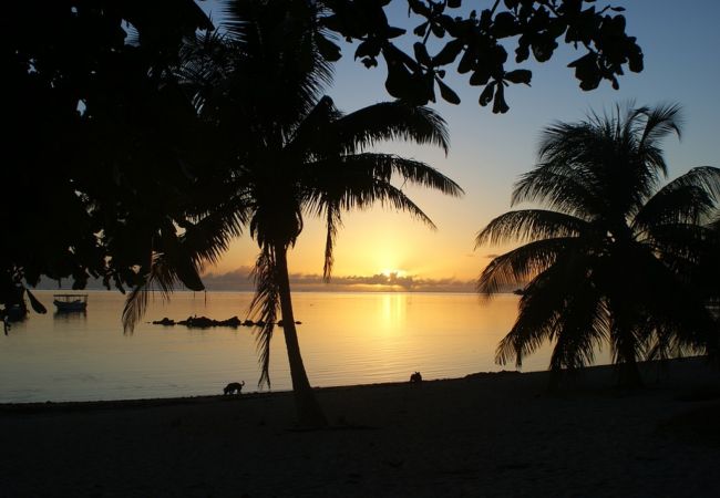 Bungalow in Paea - TAHITI - Love Nest Bungalow in Paea - TAHITI - Love Nest