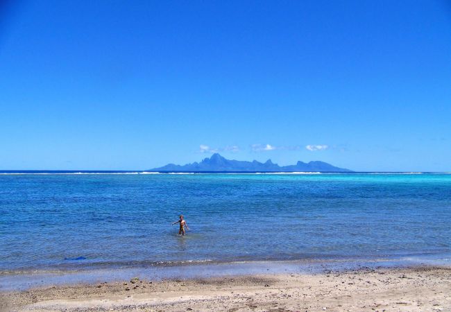 House in Paea - TAHITI - Salty Dream House in Paea - TAHITI - Salty Dream