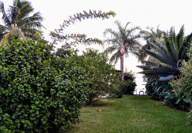 House in Paea - TAHITI - Salty Dream House in Paea - TAHITI - Salty Dream