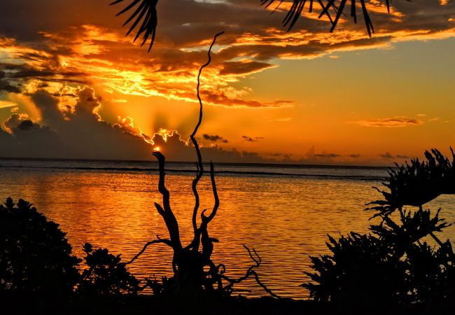 House in Paea - TAHITI - Salty Dream House in Paea - TAHITI - Salty Dream