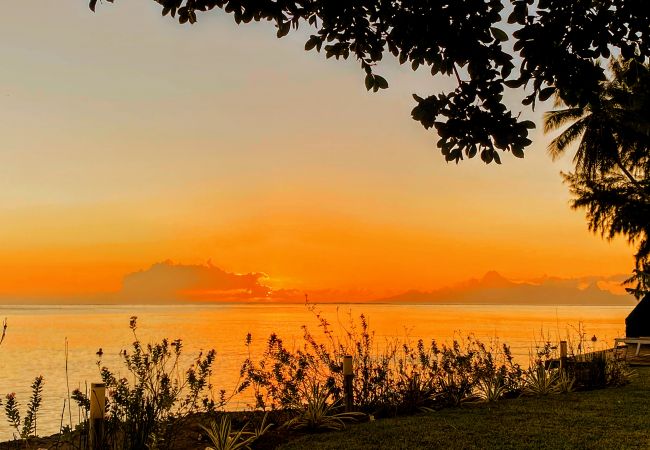 Villa in Paea - TAHITI - 5 O'Clock In Paradise... Villa in Paea - TAHITI - 5 O'Clock In Paradise...