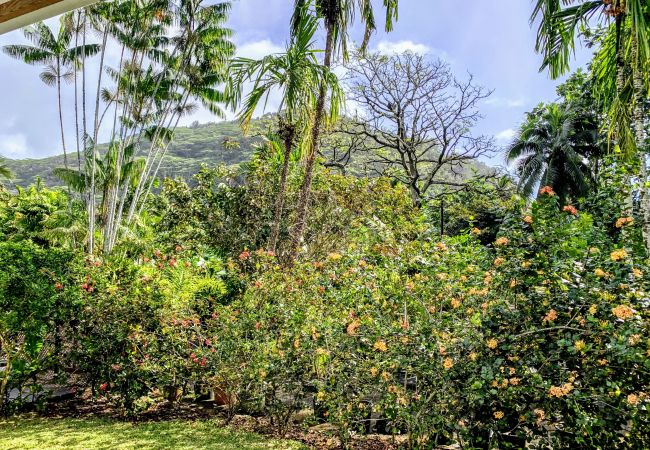House in Mahina - TAHITI - Fare Mitinui Surf Break House in Mahina - TAHITI - Fare Mitinui Surf Break