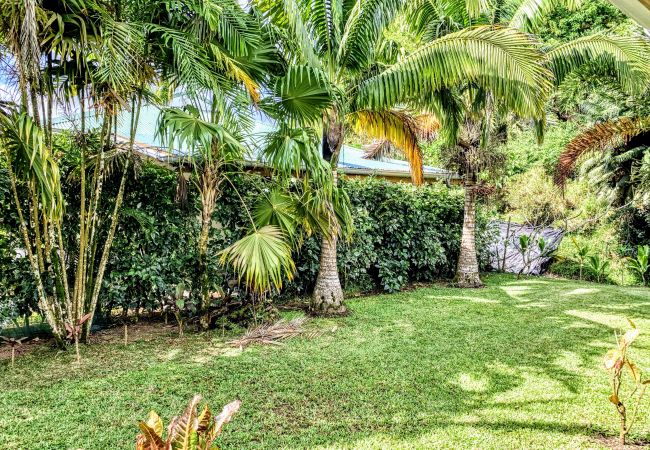 House in Mahina - TAHITI - Fare Mitinui Surf Break House in Mahina - TAHITI - Fare Mitinui Surf Break