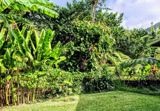 House in Mahina - TAHITI - Fare Mitinui Surf Break House in Mahina - TAHITI - Fare Mitinui Surf Break