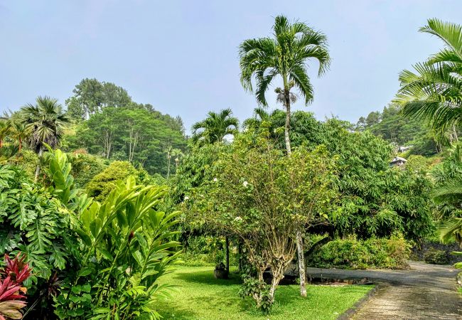 House in Mahina - TAHITI - Fare Mitinui Surf Break House in Mahina - TAHITI - Fare Mitinui Surf Break