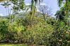 House in Mahina - TAHITI - Fare Mitinui Surf Break House in Mahina - TAHITI - Fare Mitinui Surf Break