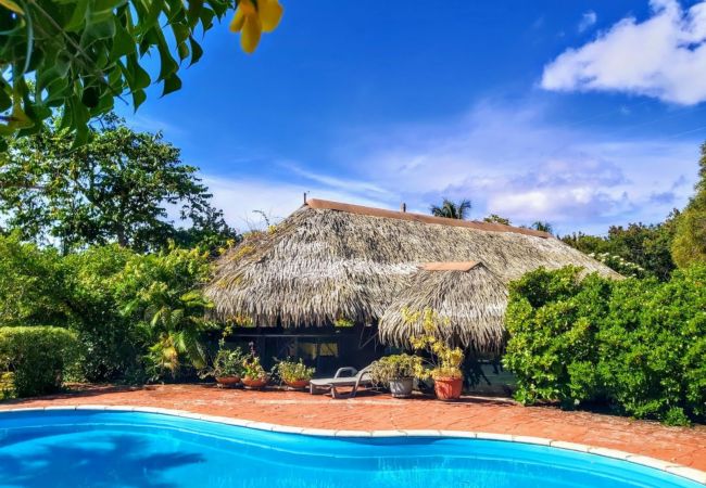 Rent by room in Fare - HUAHINE - Bungalow Pitate  Rent by room in Fare - HUAHINE - Bungalow Pitate