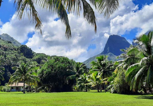 House in Haapiti - MOOREA - Fenua Rahi Beachfront House in Haapiti - MOOREA - Fenua Rahi Beachfront