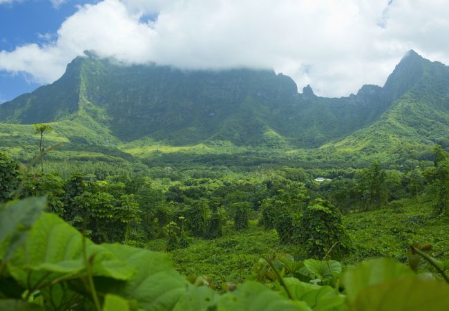 Studio in Raiatea - RAIATEA - Studio Tenape Studio in Raiatea - RAIATEA - Studio Tenape