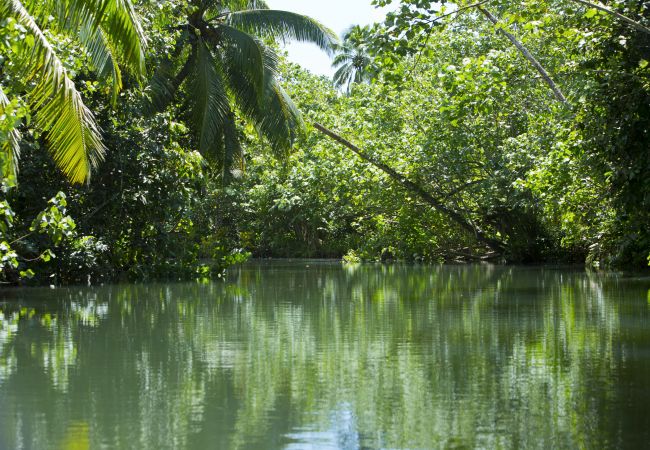 Studio in Raiatea - RAIATEA - Studio Tenape Studio in Raiatea - RAIATEA - Studio Tenape